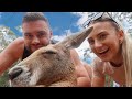 Meeting Kangaroos for the first time!! | Currumbin Wildlife Sanctuary