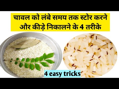 How to store rice ll चावल को लंबे समय तक स्टोर करने और कीड़े निकालने के 4 तरीके