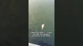 When you are about to leave…. #bassfishing #fishinglife #linkinpark #shorts #funnyvideo #movieending