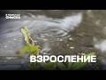 Взросление