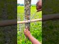 Gardens easy knots but strong!