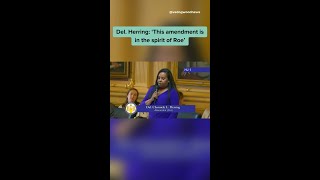 Virginia House, led by Dems, advances Reproductive Rights amendment