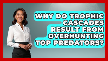 Why Do Trophic Cascades Result From Overhunting Top Predators? - Explaining Ecology