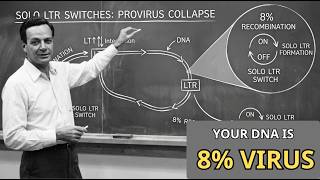 The Ancient Viruses Hidden in Your DNA