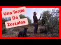 Tarde de Zorzales