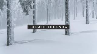 Poem of the Snow - Beautiful Piano Song｜BigRicePiano screenshot 5