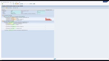 Analyzing Authorization issues in SAP - SU53