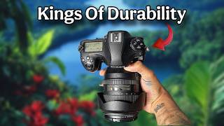 4 Dslr Cameras That Are Unbreakable