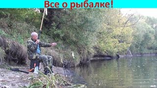 Финальная ловля "в проводку" 2019