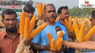 Village Tv96
