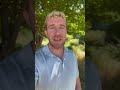 Pulling back the curtain on my Airbnb business