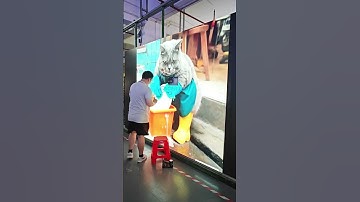 Can your cat wash dishes? #leddisplay #ledscreen #ledwall #eagerled #ledmodule