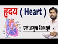 ह्रदय कैसे काम करता है ? ह्रदय की संरचना एवं कार्य | Human Heart & Its Function in Hindi