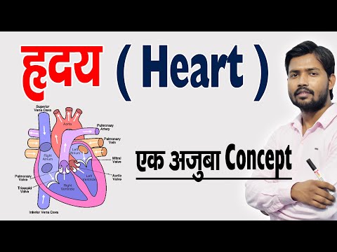 वीडियो: अपनी हृदय गति की गणना कैसे करें: 8 कदम (चित्रों के साथ)