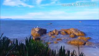 Vishvasthanayiduvaan nin karangalil | Hindi Version | Vishvasniye Banney ke Liye | Ps.Samuel Wilson