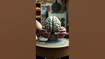 The Power of Neuroplasticity | How to Rewire Your Brain for Success #mindsetshift #motivation