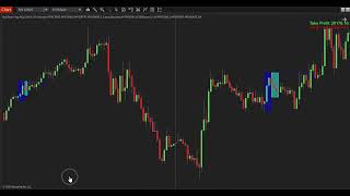 Bull Bear Flag for NT8