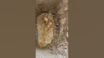 Cách Thợ sửa chữa ống nước rò rỉ chuyên nghiệp sẽ thế nào #sieuamnuoc #hanoi #plumbing #diy #home