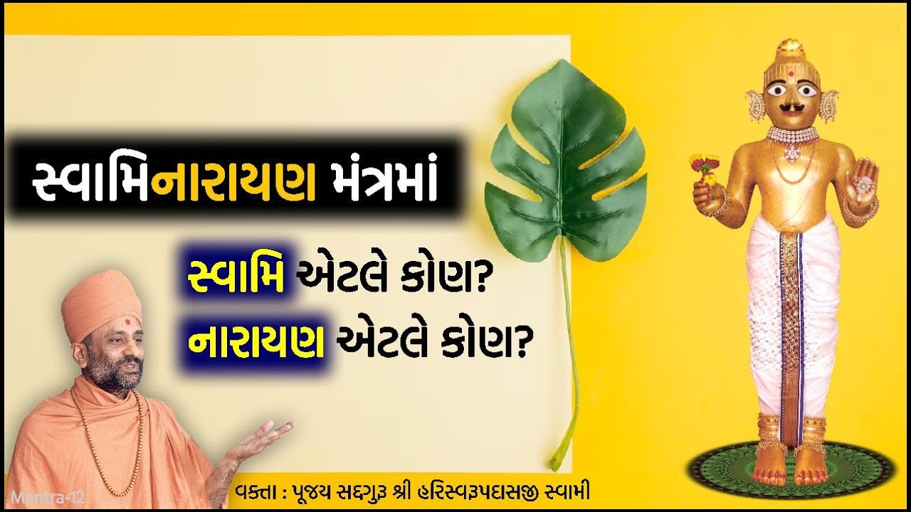 સ્વામિનારાયણમાં સ્વામિ કોણ? નારાયણ કોણ? | Swaminarayan | Pu. Hariswarupdasji Swami | Daily Satsang