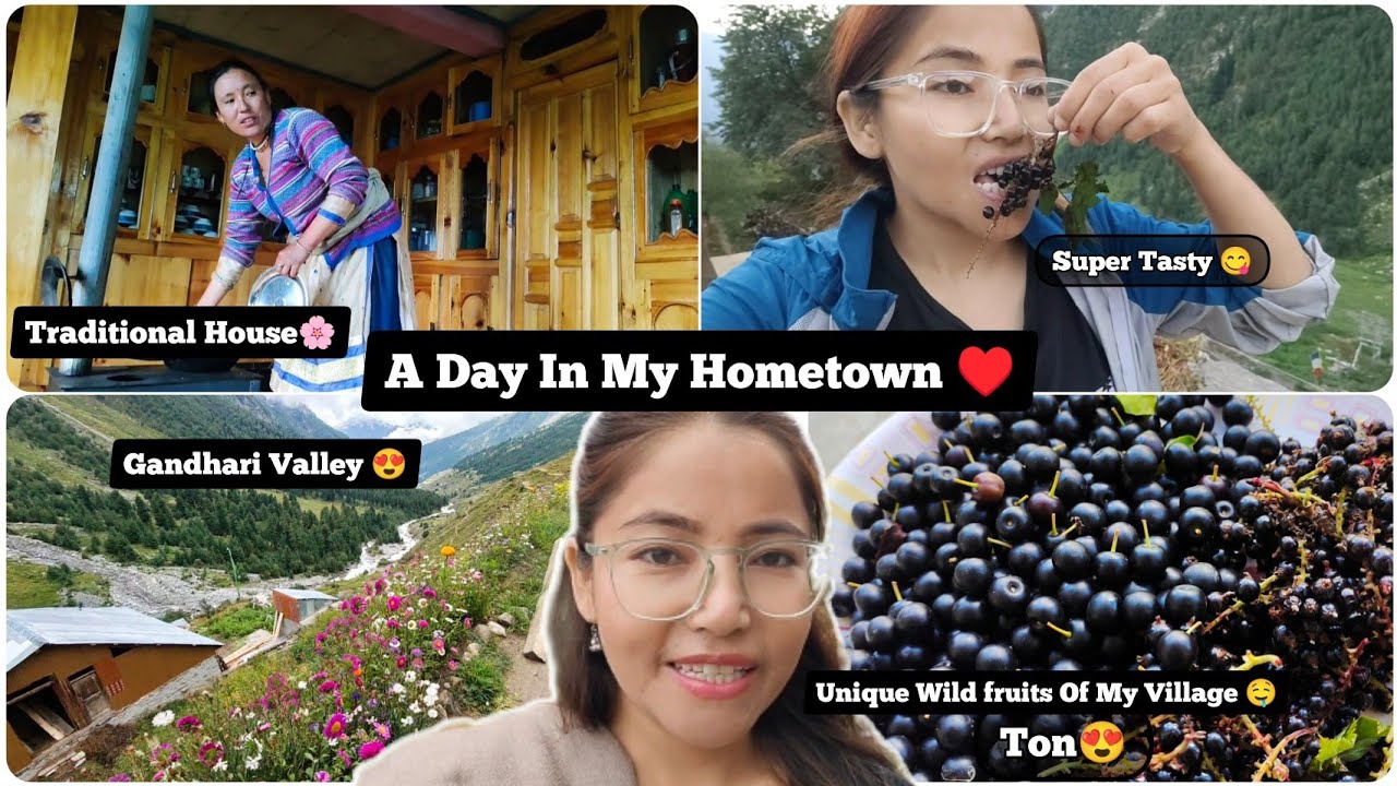 humare-gaon-k-wild-fruits-aur-traditional-house-dikhate-hain-aap-sabi