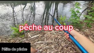 PECHE AU COUP (vidéo bonus )