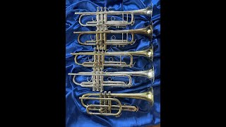 5 Good Horns!