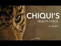 Chiqui&#39;s Health Check