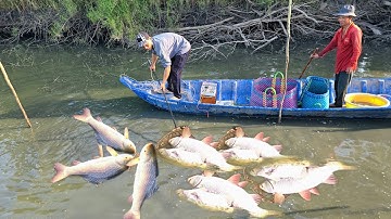 Đi kích cá vuông chuối 2 năm chưa tác kết quả lên toàn hàng khủng | kích cá Tập 1