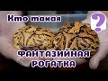 Фантазийная рогатка: обзор.