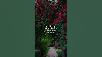 سورة آل عمران 💙#حالات_واتساب #قرآن #حالات #حالات_دينية #حالات_واتس #كرومات