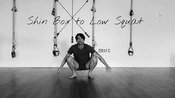 Shin Box to Low Squat