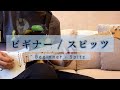 【弾いてみた】 ビギナー - スピッツ / ギター / 弾いてみた