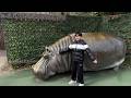 レオくんがおでかけ！天王寺動物園！ Part172 トイキッズ