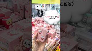 타코야끼 먼작귀🐙