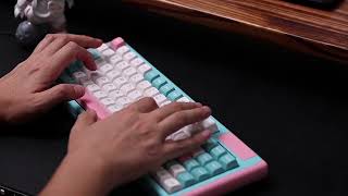 The typing sounds of Dustsilver D84 keyboards | mechanical keyboards | switches