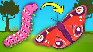 How a Caterpillar Becomes a Butterfly! (Butterfly Metamorphosis)