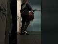 Bull Doza Bullet Punch Bag vs Cambridge Uni MMA Striker #punchbag #boxingtraining #mma #fastpunch