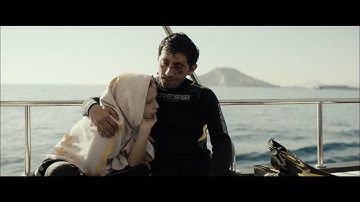 映画『ドッグマン』予告編   小さなドッグサロンを営む男の幸せな日常がある日狂い出す