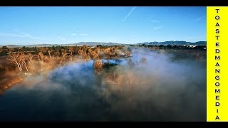 A little FPV fog in the morning with The Volador II Deadcat 6