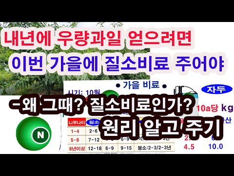 과일나무 비료 주기. 내년에 우량과일을 얻으려면 이번 가을에 질소비료 주어야 합니다-왜 그때, 질소비료인가. 그 이치와 원리 알고 비료 주는시기, 비료주는 양, 비료 주는방법