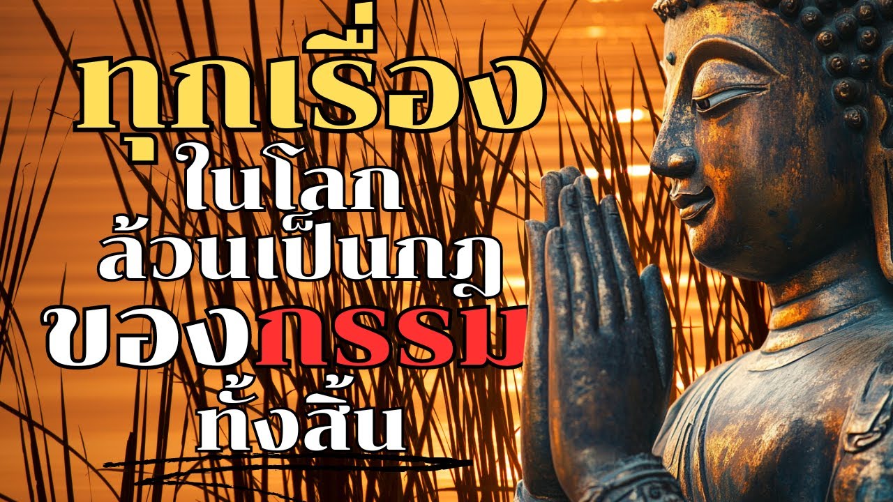 ทุกเรื่องในโลก ล้วนเป็นกฎของกรรมทั้งสิ้น | ฟังธรรมะก่อนนอน