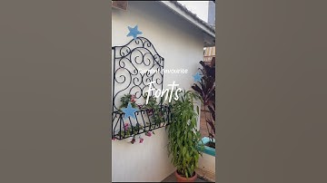 Favorite fonts🎀 #editingtutorial #fonts #inshotediting #aesthetic #pinterest #fyp #contentcreation