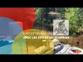 Pices du guerrier  5 recettes faciles  faire en nature