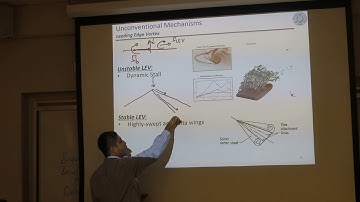 Lec 17, Aerodynamics of Flapping Flight, part 2