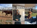 DAY IN MY LIFE AT HOME: fertilizing my pastures, working horses, + maternity pictures