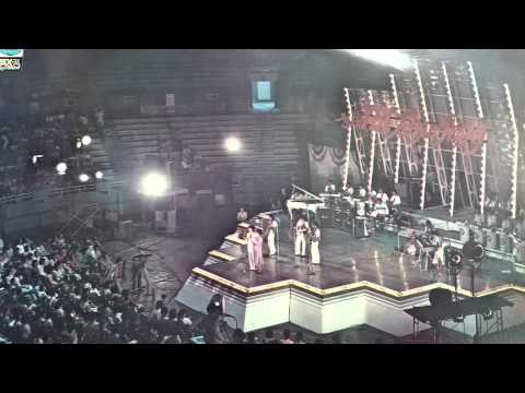 징검다리 님에게