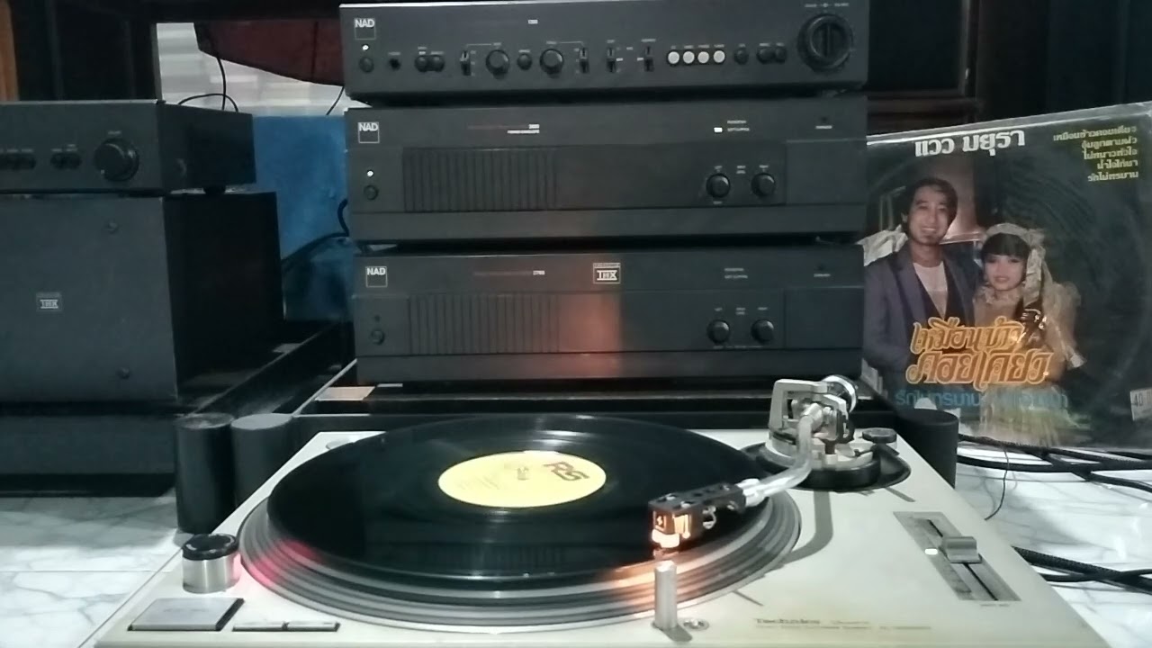 เหมือนข้าวคอยเคียว/แวว มยุรา