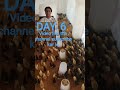 Bagga Singh poultry farm22, 2026. DAY. 25. #🐤