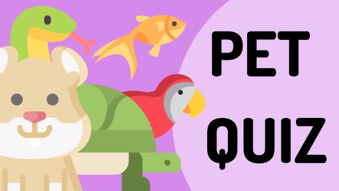 Pet quiz