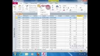 Using Access 2010 - Filter by Selection
